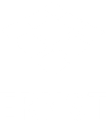 ernst logo