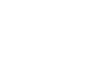 iglu logo