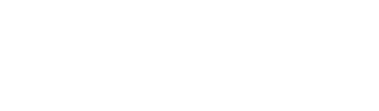 netstrata logo
