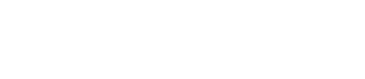 ray white projects logo